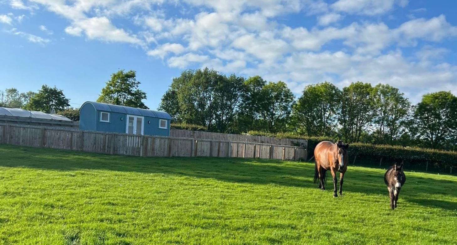 Wee Shepherds Hut Maybole Экстерьер фото