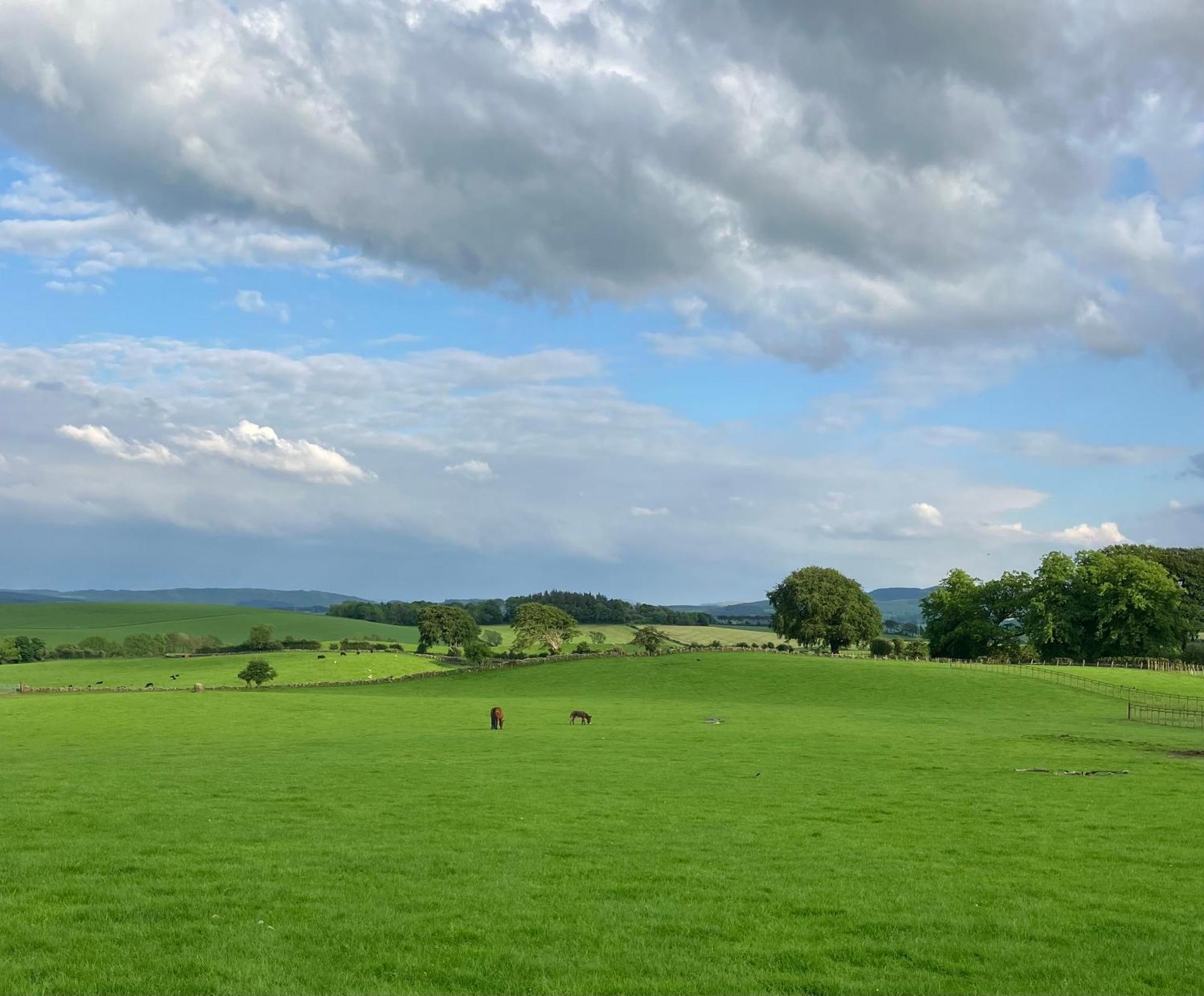Wee Shepherds Hut Maybole Экстерьер фото