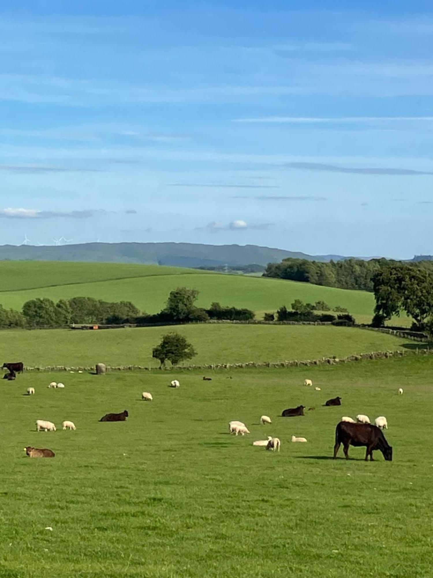 Wee Shepherds Hut Maybole Экстерьер фото